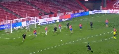 真神陨落 那条击败了《黄金树幽影》最终BOSS的金鱼去世了